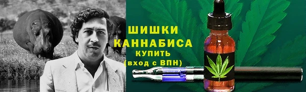 дмт Богданович